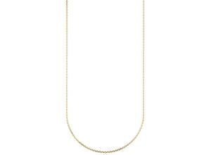 4067602931251 - Collierkettchen FIRETTI Schmuck Geschenk Gold 375 Halsschmuck Halskette Goldkette Ankerkette Halsketten Gr 38 Gelbgold 333 Breite 115 mm gelb (gelbgoldfarben) Damen Colliers