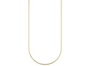 4067602931398 - Collierkettchen FIRETTI Schmuck Geschenk Gold 375 Halsschmuck Halskette Goldkette Ankerkette Halsketten Gr 42 Gelbgold 333 Breite 19 mm gelb (gelbgoldfarben) Damen Colliers zu Kleid Shirt Jeans Sneaker Anlass Geburtstag Weihnachten