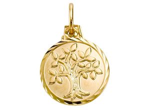 4067602932029 - Ketten-Anhänger FIRETTI Schmuck Geschenk Gold 333 Halsschmuck Anhänger Halskette Baum Schmuckanhänger Gr Gelbgold 333 09 g gelb (gelbgoldfarben) Damen Anhänger zu Kleid Shirt Jeans Sneaker Anlass Geburtstag Weihnachten