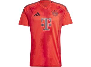 4067894787130 - adidas Heimtrikot FC Bayern München 24 25 für Herren rot M