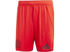 4067894946698 - adidas Heimshorts FC Bayern München 2024 25 für Herren rot M