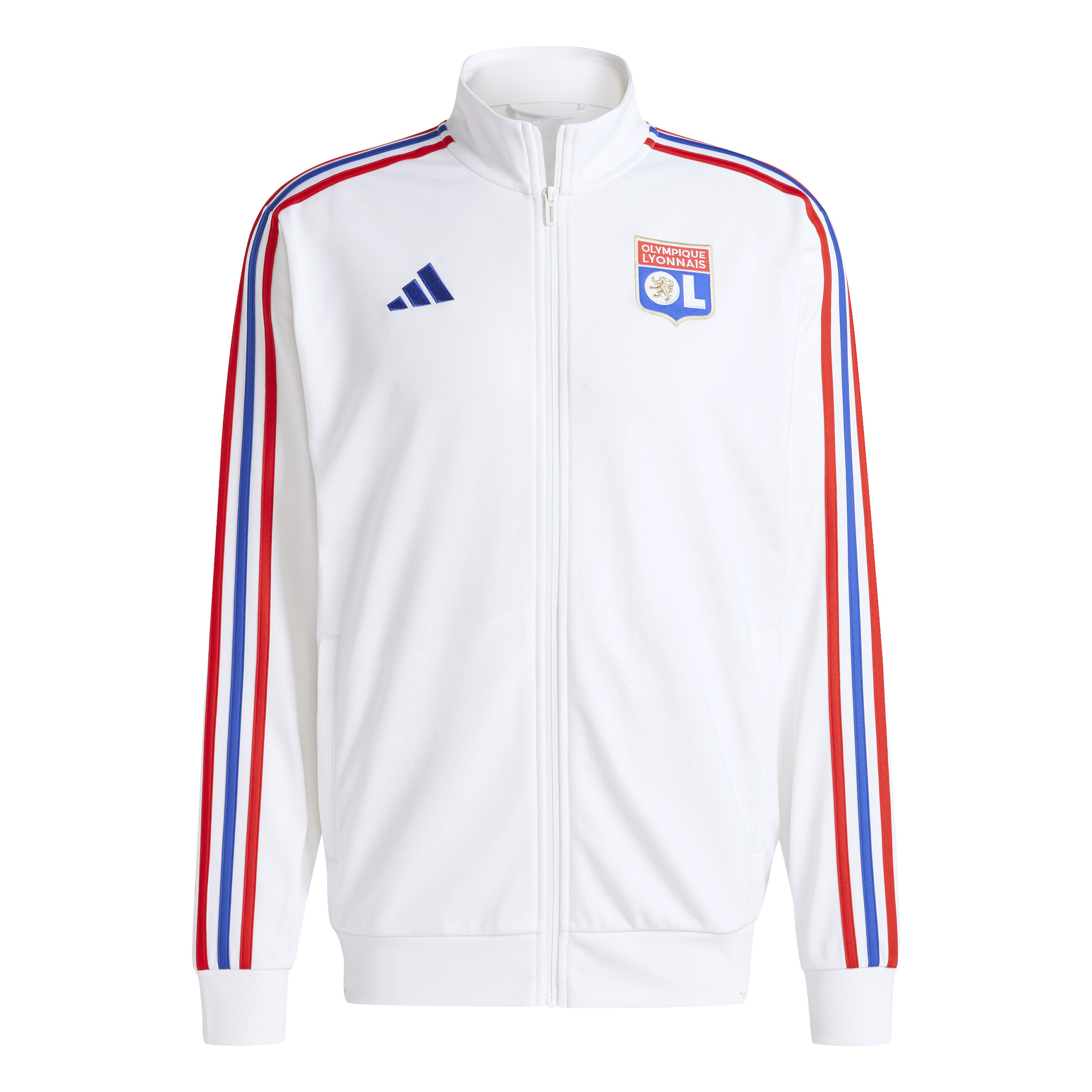 4067896565613 - Trainingsjacke OL DNA 2024 25