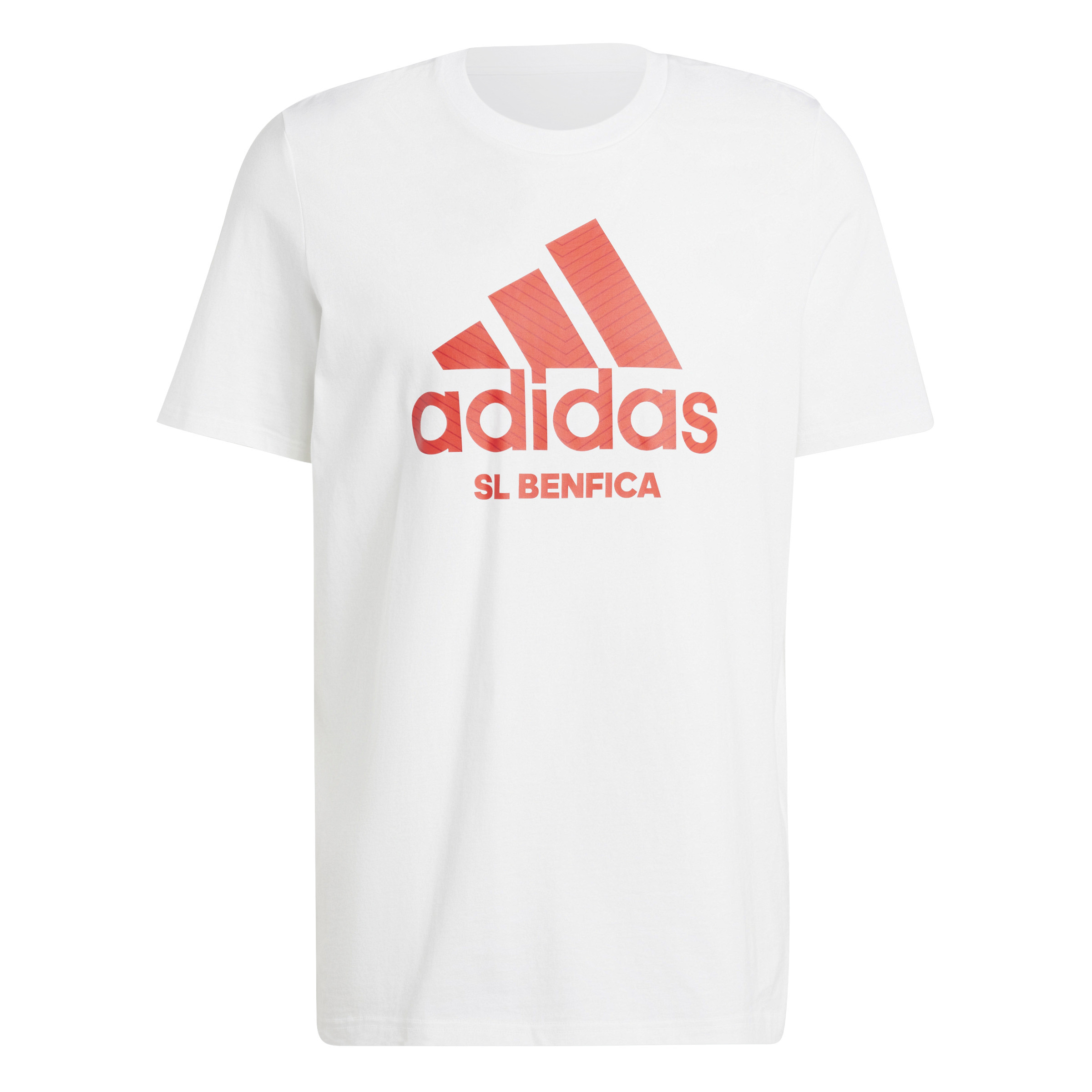 4067896636719 - T-Shirt Benfica Lisbonne Graphic 2024 25