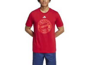 4067896726007 - adidas FC Bayern München T-Shirt Baumwolle für Herren rot XXL