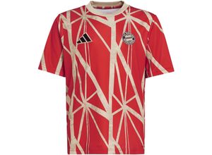 4067898613084 - adidas Aufwärmshirt FC Bayern München 5 24 Aeroready für Kinder rot 176