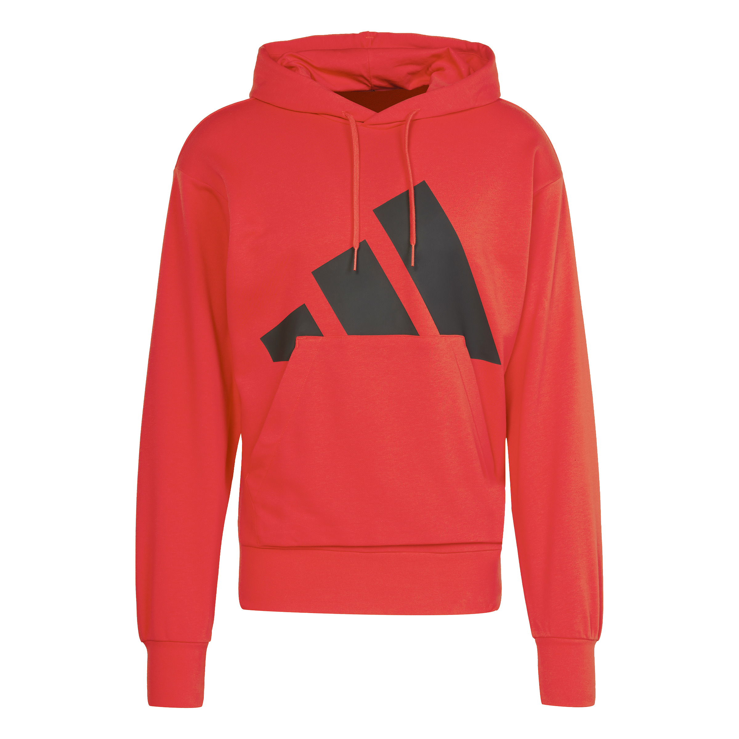 4067905978915 - Hoodie adidas Essentials Big Logo