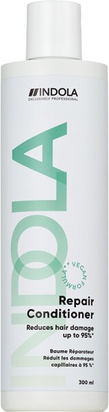 4067971051642 - Care & Style Care Repair Conditioner 300 ml