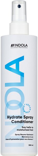 4067971051888 - Care & Style Care Hydrate Spray Conditioner 300 ml