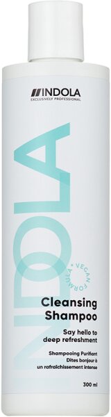 4067971052007 - Care & Style Care Cleansing Shampoo 300 ml