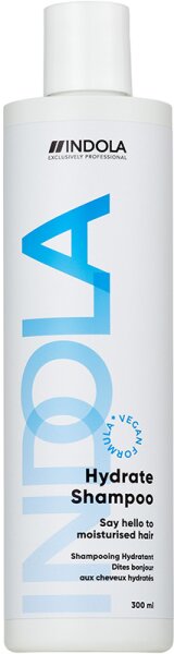 4067971052168 - Care & Style Care Hydrate Shampoo 300 ml