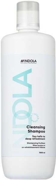 4067971052885 - Care & Style Care Cleansing Shampoo 1000 ml