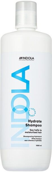 4067971052960 - Care & Style Care Hydrate Shampoo 1000 ml