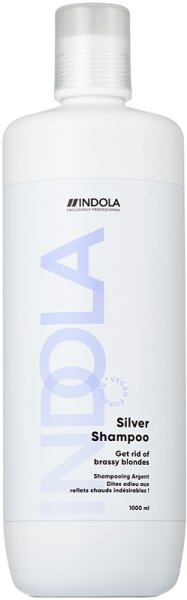 4067971053325 - Care & Style Care Silver Shampoo 1000 ml