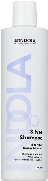 4067971053363 - Care & Style Care Silver Shampoo 300 ml