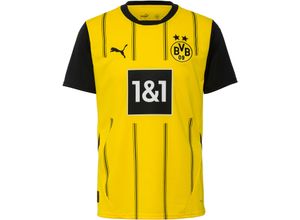 4067979989817 - PUMA Borussia Dortmund 24-25 Heim Teamtrikot Herren in faster yellow-puma black