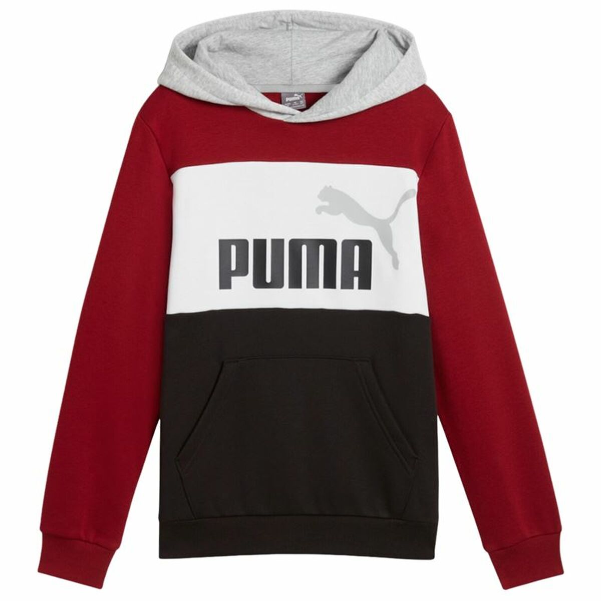 4067981095704 - Jungen Sweater mit Kapuze Essentials Block