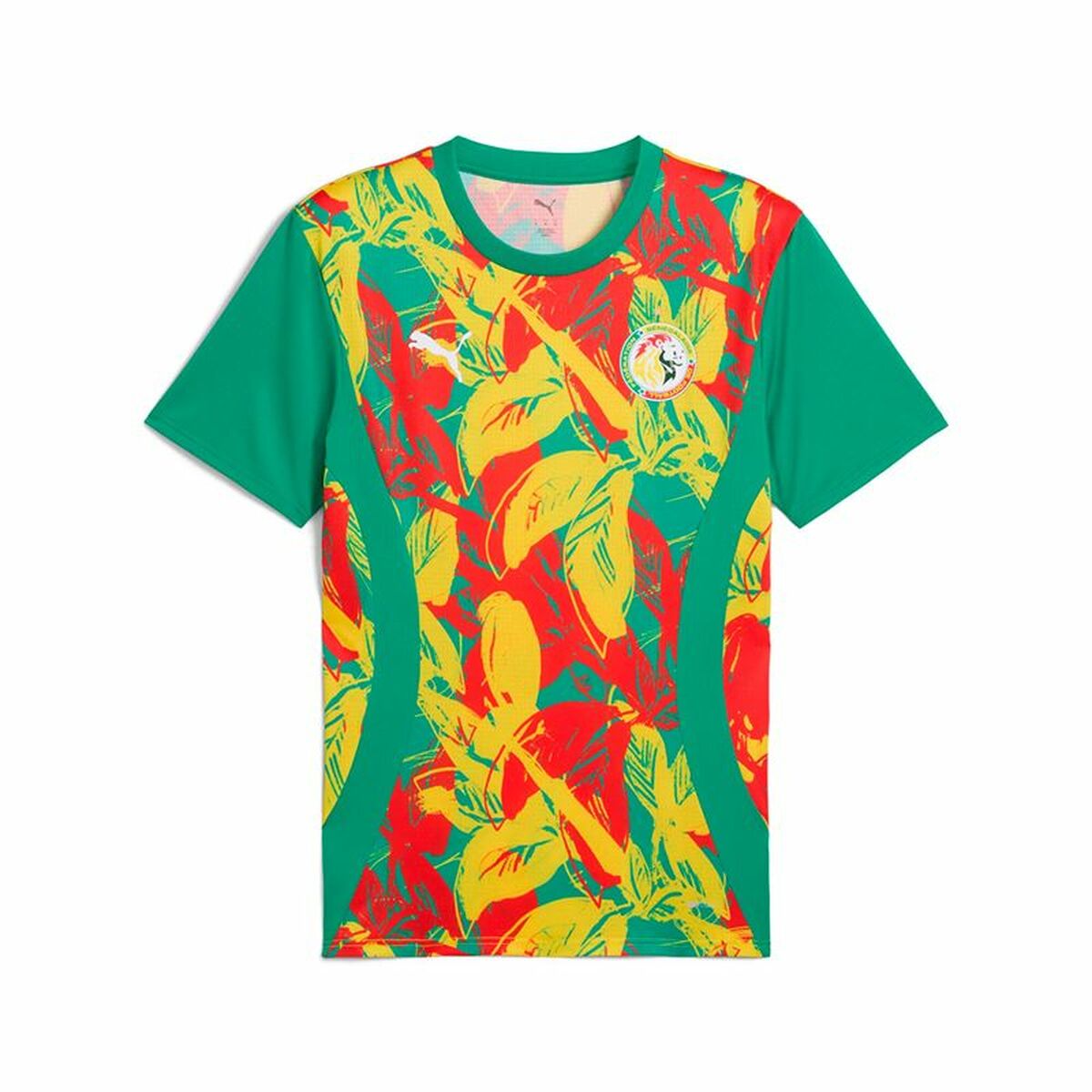 4067984289360 - Mens Short-sleeved Football Shirt Senegal Prematch Ss Green