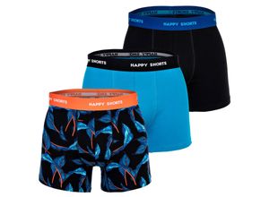 4068007102451 - Herren Boxershort Mehrfarbig