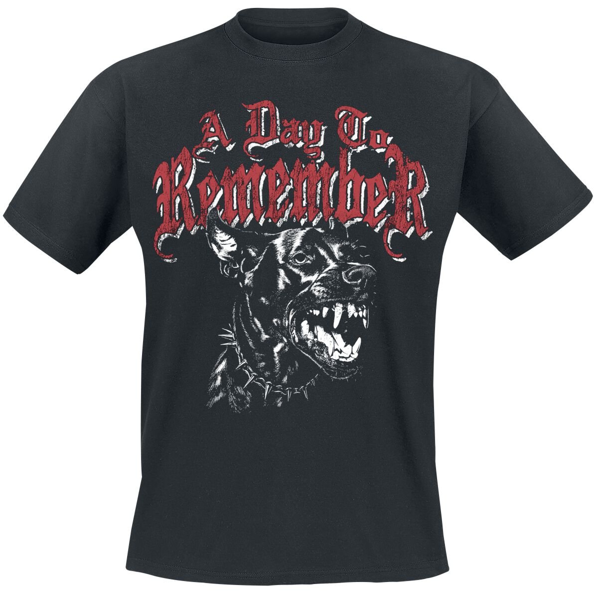 4068143312646 - Hound T-Shirt schwarz in S