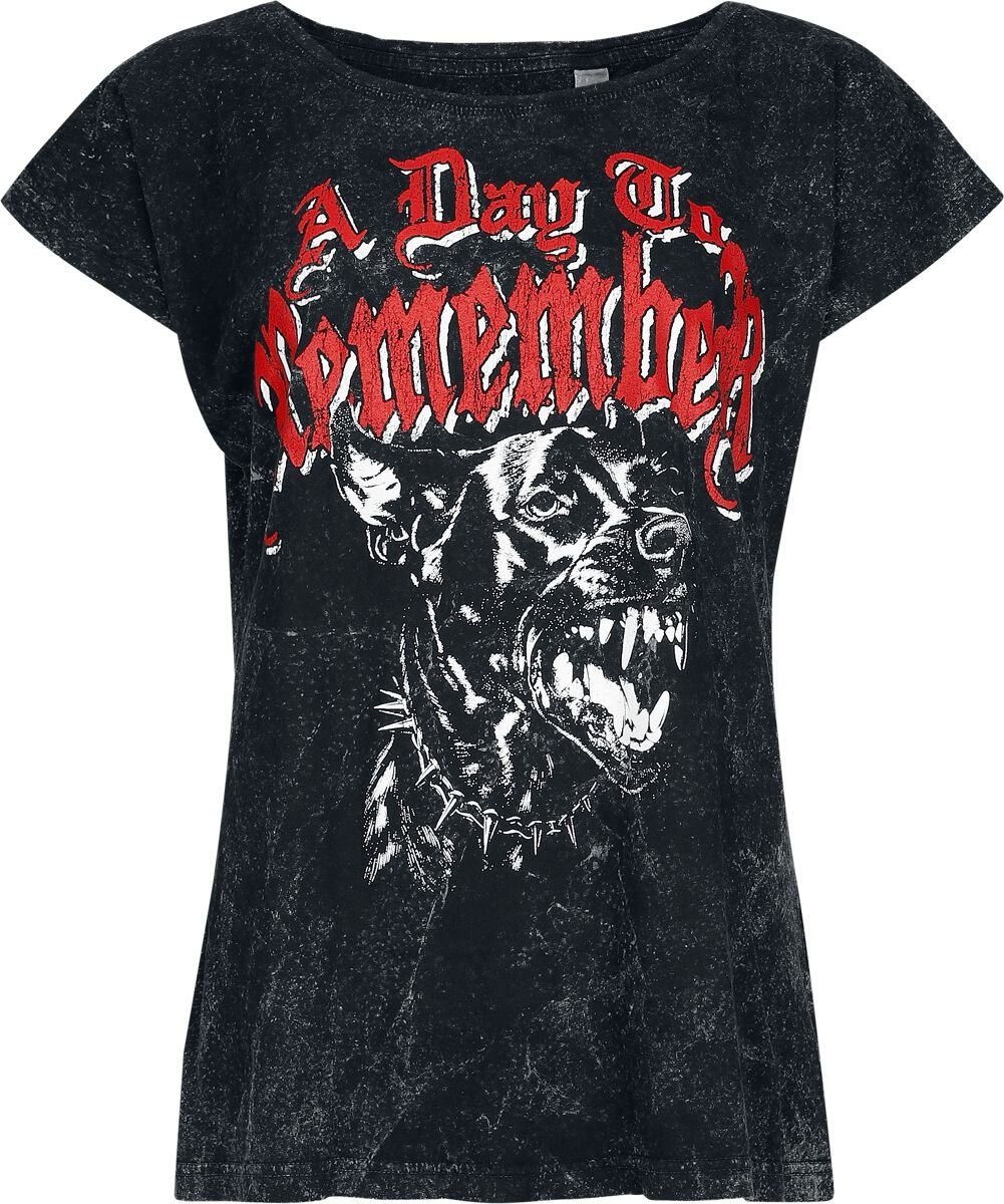 4068143334907 - Hound T-Shirt anthrazit in XL 4068143334907 - Hound T-Shirt anthrazit in XL