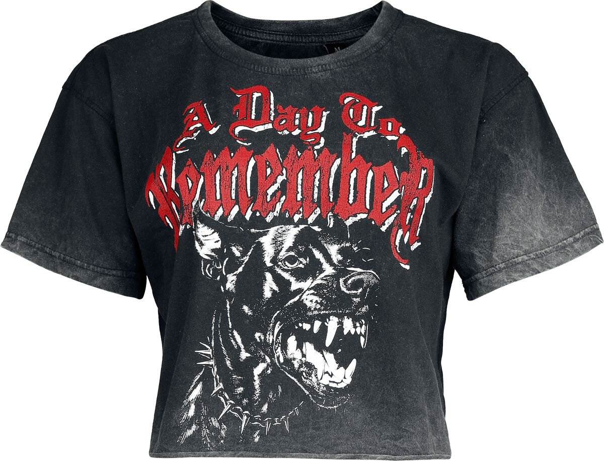 4068143335256 - Hound T-Shirt grau in XXL 4068143335256 - Hound T-Shirt grau in XXL
