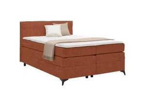 4068181700757 - Boxspringbett Bari in Terracotta ca 140x200cm