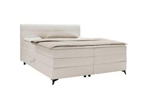 4068181700832 - Boxspringbett Bari in Terraxotta ca 160x200cm