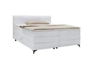 4068181700924 - Boxspringbett Bari in Hellgrau ca 160x200cm