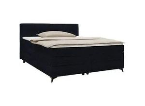 4068181700962 - Boxspringbett Bari in Schwarz ca 160x200cm