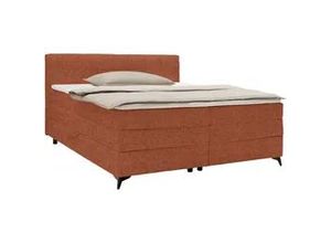 4068181701037 - Boxspringbett Bari in Terracotta ca 180x200cm