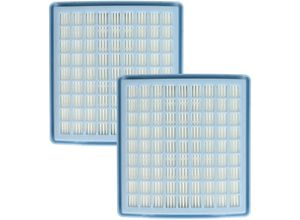 4068201405419 - Vhbw - 2x Staubsaugerfilter kompatibel mit Miele S144 Allergy Hepa Mini S143 The Alternative S144 S144 Brillant 1300 Staubsauger - hepa Filter