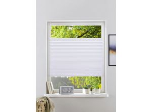 4068222141570 - my home Plissee »GELLO« Lichtschutz ohne Bohren verspannt in Streifen-Optik Klemmfix im Fixmass 4068222141570 - my home Plissee »GELLO« Lichtschutz ohne Bohren verspannt in Streifen-Optik Klemmfix im Fixmass