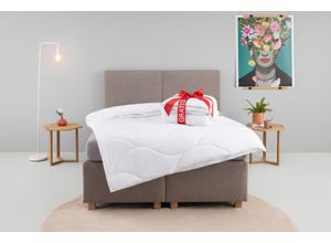 4068222194040 - Microfaserbettdecke MY HOME Caelan kaufe eine Decke - erhalte die 2 gratis Bettdecken Gr B L 135 cm x 200 cm 4-Jahreszeiten Microfaser Bezug weiß Bettdecke 135x200 cm 155x220 cm und weitere Größen Sommer Winter