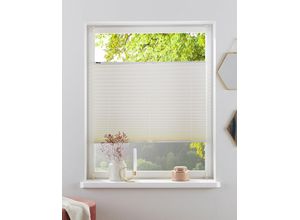 4068222640806 - my home Plissee »DAHRA - in Crush-Optik« Lichtschutz ohne Bohren verspannt Klemmträger