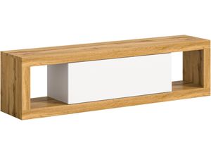 4068222710493 - Lowboard INOSIGN Trinity Breite 150 cm stehend und hängend 1 Klappe Sideboards Gr B H T 150 cm x 39 cm x 30 cm braun (weiß wotan eiche nachbildung) Lowboards 2 offene Fächer grifflose Fronten TV-Möbel TV Schrank Hängeschrank