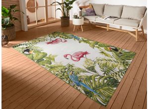 4068226006462 - Outdoorteppich HANSE HOME Tropical Birds Teppiche Gr B L 240 cm x 340 cm 3 mm 1 St bunt Esszimmerteppiche In-& Outdoor Teppich Wetterfest Balkon Garten Wohnzimmer Floral