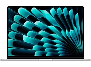 4068668036959 - APPLE Notebook MacBook Air 15 Notebooks Gr 16 GB RAM 2000 GB SSD silberfarben (silber) MacBook Air Pro