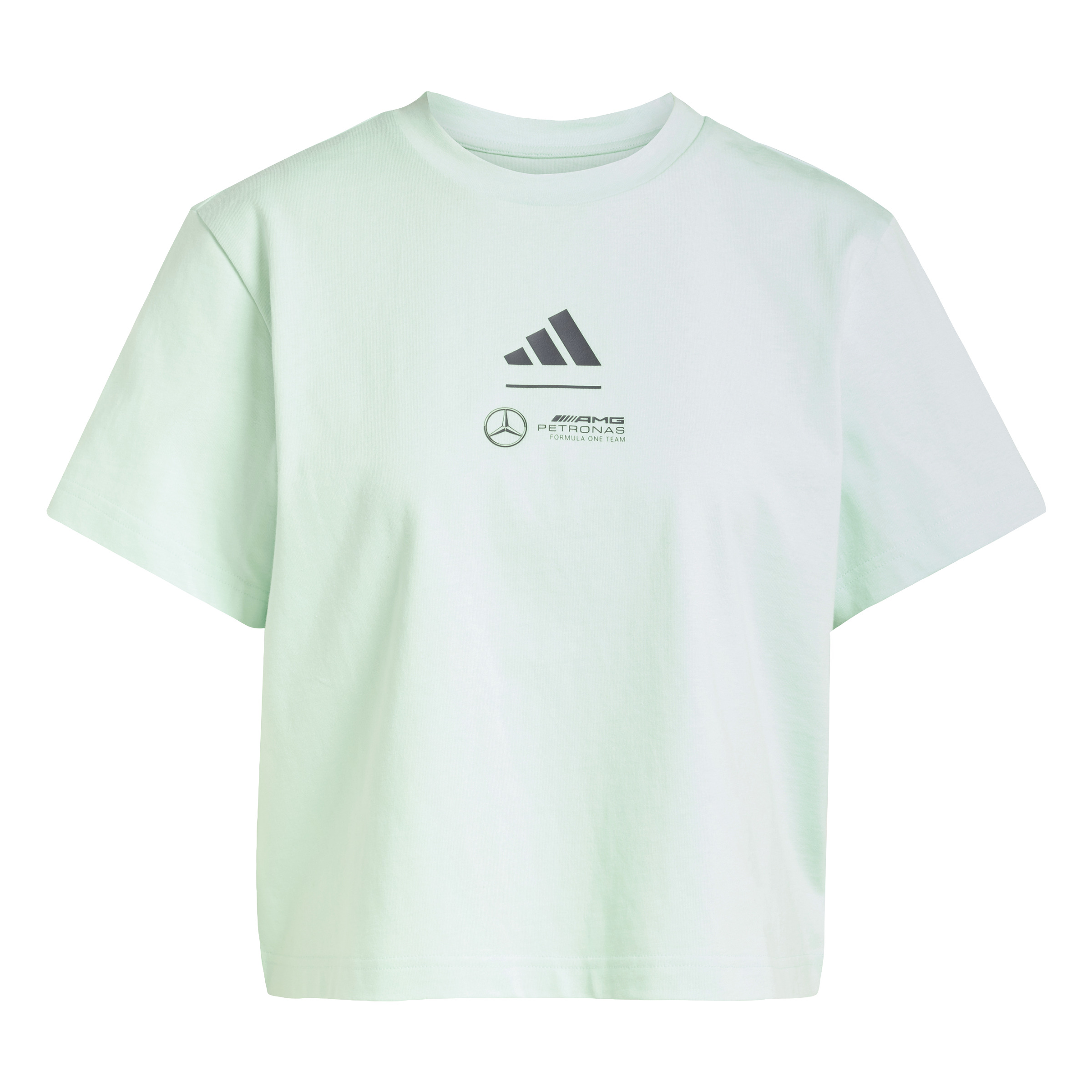 4068802762447 - T-Shirt adidas Mercedes - AMG Petronas Formula One Team Premium Woven