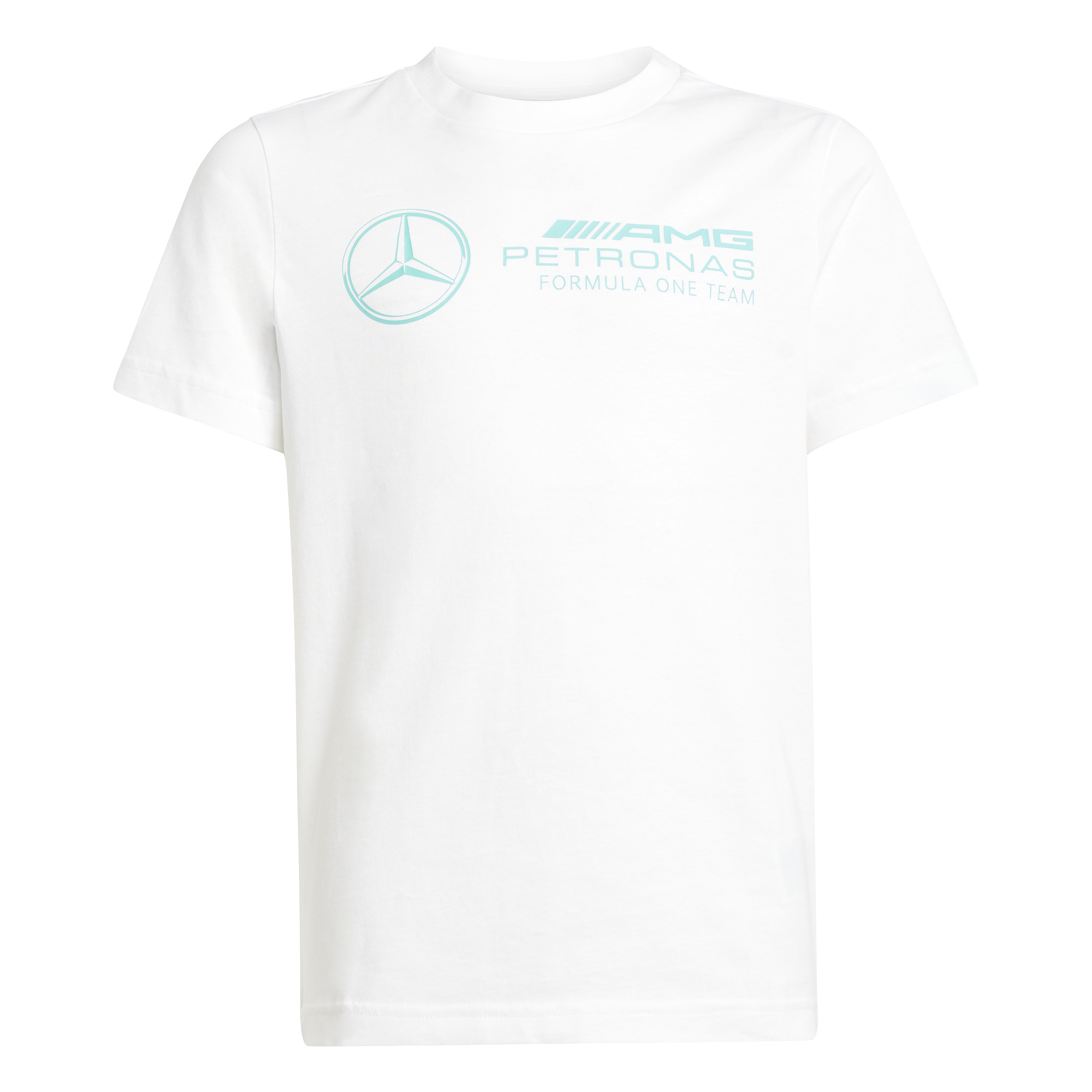 4068802894827 - T-Shirt adidas Mercedes - AMG Petronas Formula One Team DNA Graphic