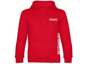 4068859573331 - multifanshop Kapuzen Sweatshirt - Regensburg - Brust & Seite - Druck weiß - Hoodie