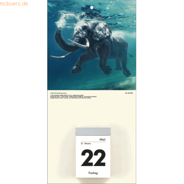 4069095000643 - Kalenderrückwand 145x30cm für Typ 301   302 Tiere sortiert