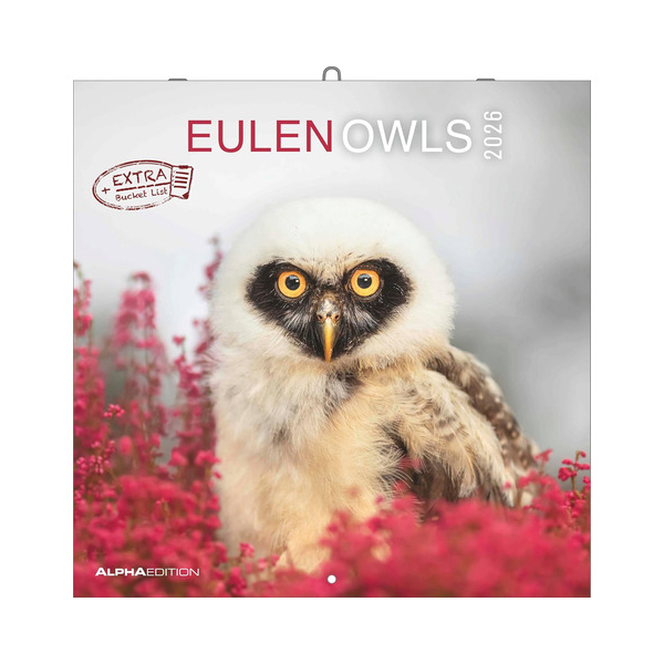 4069095001886 - Wandkalender 160188  4069095001886 ALPHA EDITION