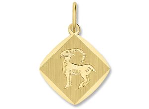 4069415437555 - Sternzeichen-Anhänger Steinbock Sternzeichen Anhänger aus 333 Gelbgold Schmuckanhänger Gr Steinbock Gelbgold 333 goldfarben (gold) Damen Gold Schmuck Steinbock