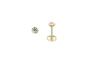 4069415450011 - Paar Ohrhänger Zirkonia Zarge Ohrringe Ohrstecker aus 333 Gelbgold Gr Damen Gelbgold 333 goldfarben (gold) Damen Gold Schmuck Zarge