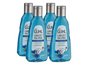 4072600482421 - Shampoo Langzeit Volumen 250 ml 4er Pack