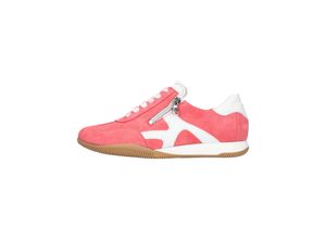 4099595999215 - H-Pamela Damen Sporthalbschuhe 4099595999215 - H-Pamela Damen Sporthalbschuhe
