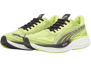 4099686543273 - PUMA® Laufschuhe  Velocity Schnürung dämpfend für Herren gelb 46