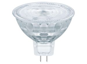 4099854070501 - Superior LED-Spot Reflektor GU53 MR16 36W 230lm 36D - 927 Extra Warmweiß Höchste Farbwiedergabe - Dimmbar - - 2700K - Extra Warmweiß - Ledvance