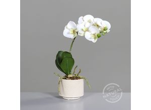 4099886003270 - Kunstblume Orchidee (H 34 cm) H 34 cm weiß Pflanze Kunstpflanze Zimmerpflanze