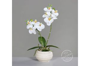 4099886003294 - Kunstblume Orchidee (H 36 cm) H 36 cm weiß Pflanze Kunstpflanze Zimmerpflanze